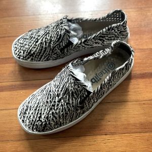 Zebra Jibs Life Classic